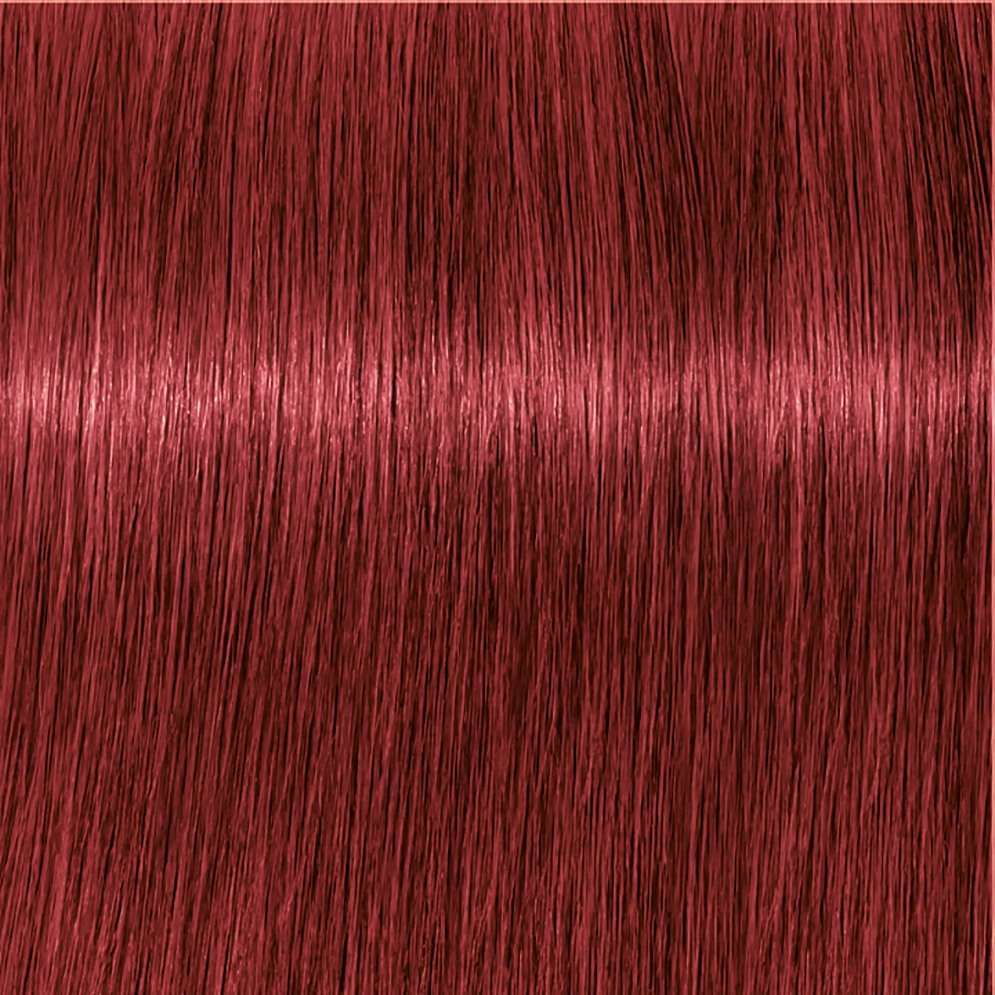 Schwarzkopf Igora Royal
