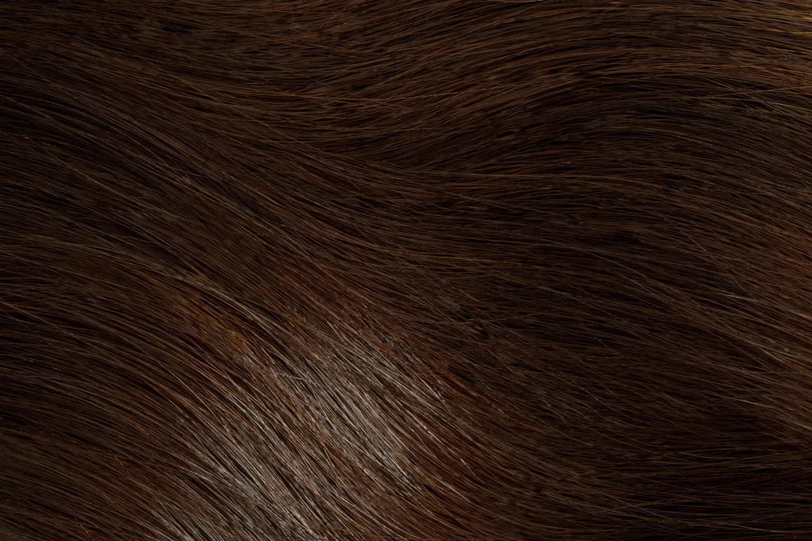 Gold Fever Bonding Extensions 25 cm