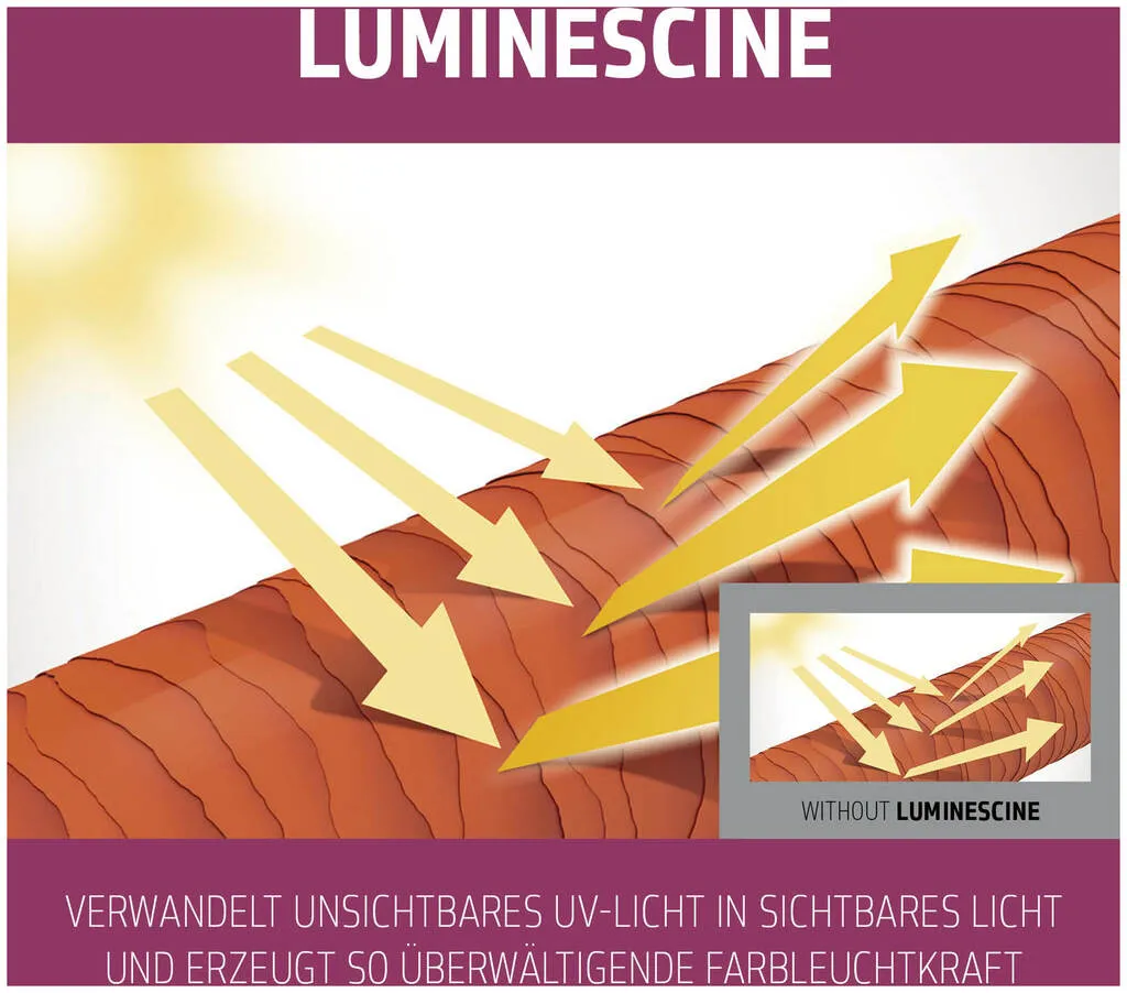 Goldwell Dualsenses Color Extra Rich Conditioner