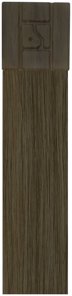 SHE Bonding Extensions Aschhellblond Farbe 10