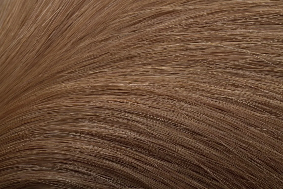 Gold Fever Bonding Extensions 35 cm