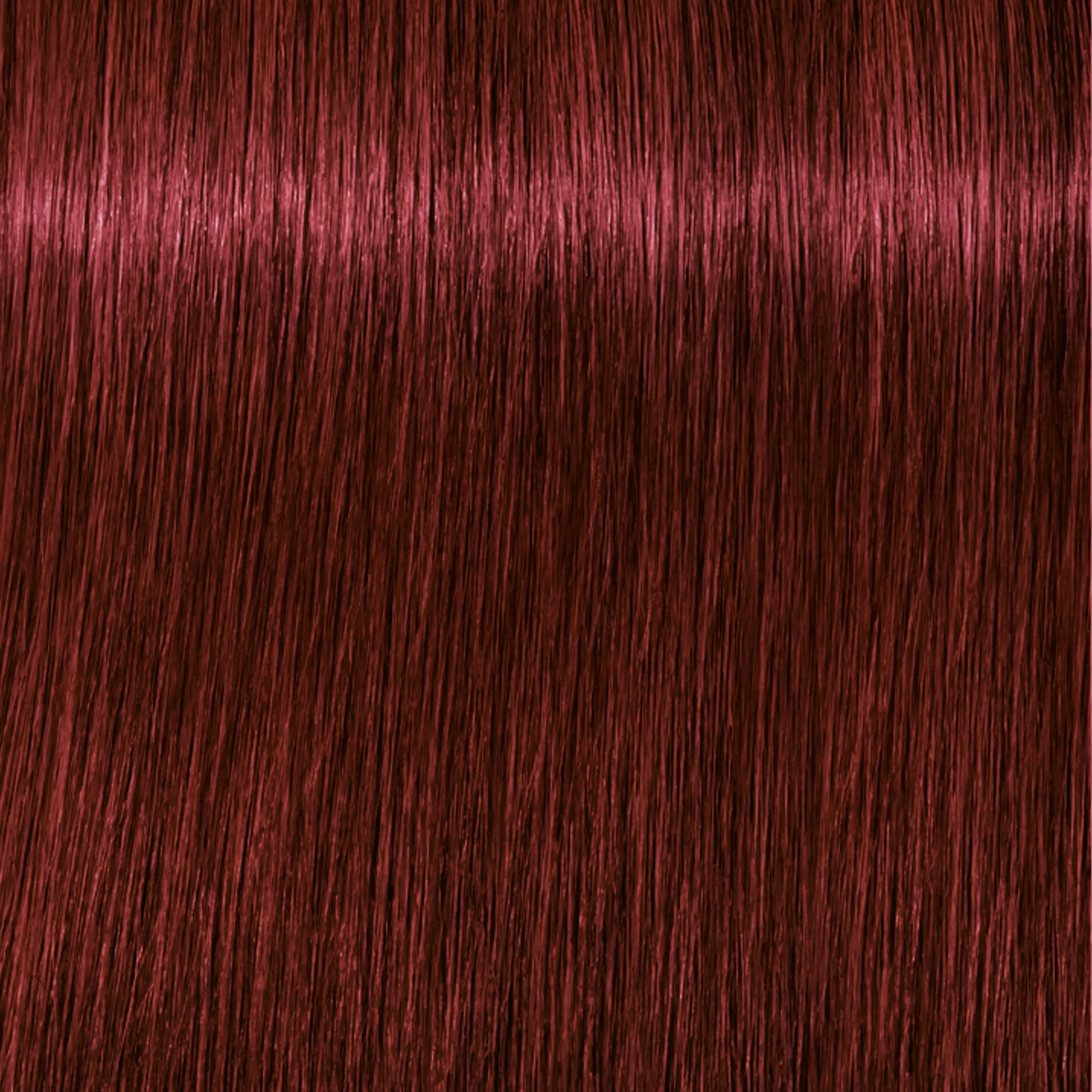 Schwarzkopf Igora Royal