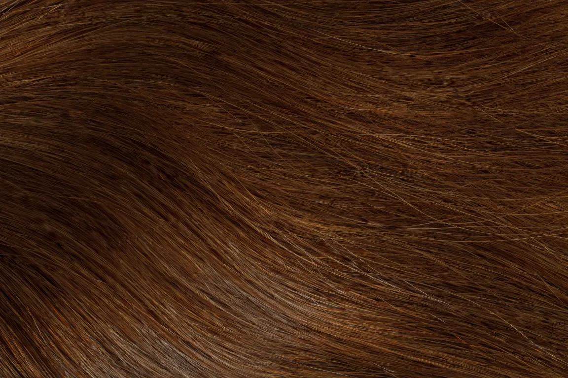 Gold Fever Bonding Extensions 35 cm