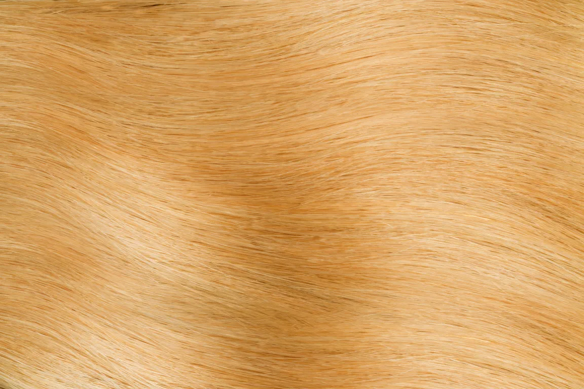 Gold Fever Bonding Extensions 35 cm
