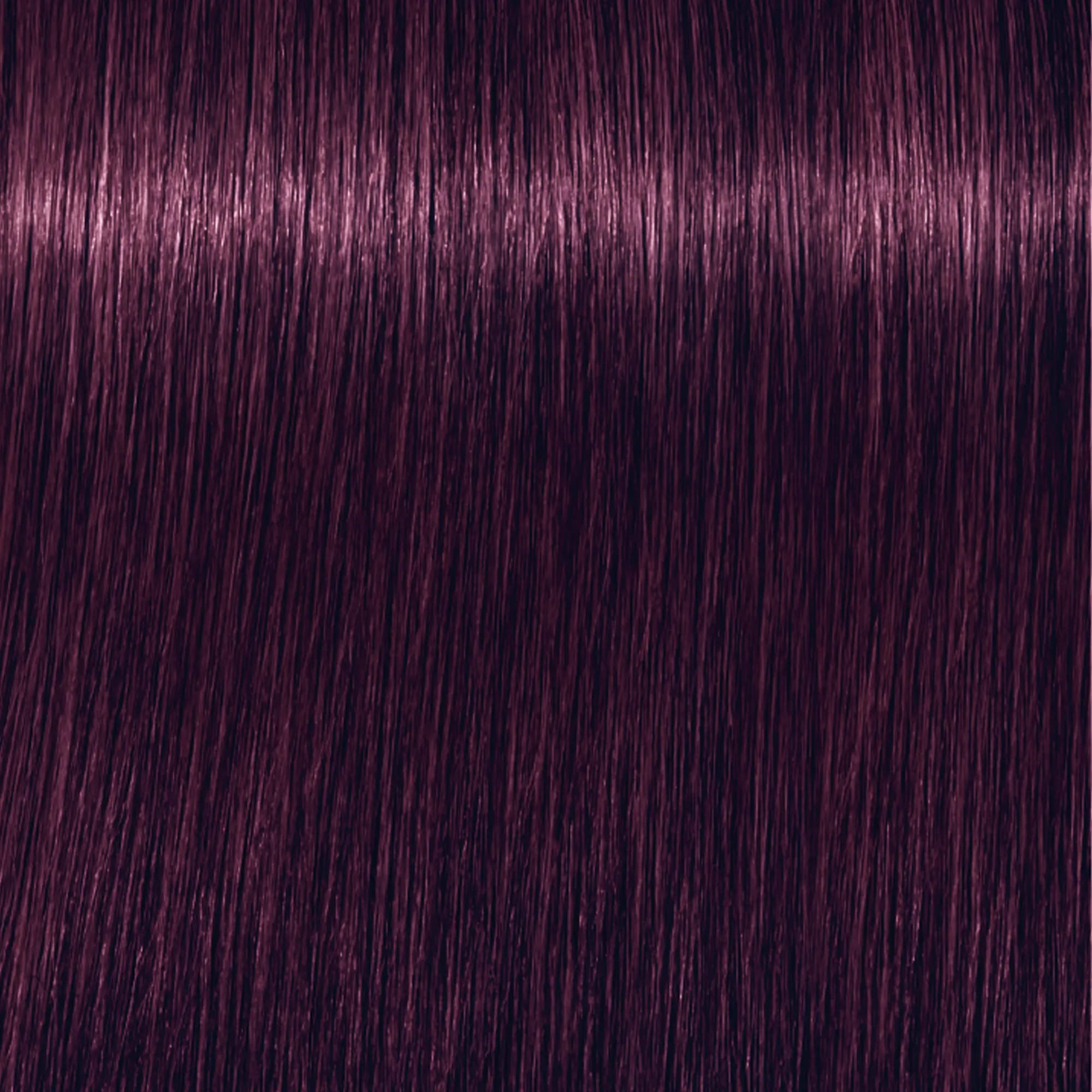 Schwarzkopf Igora Royal Mix