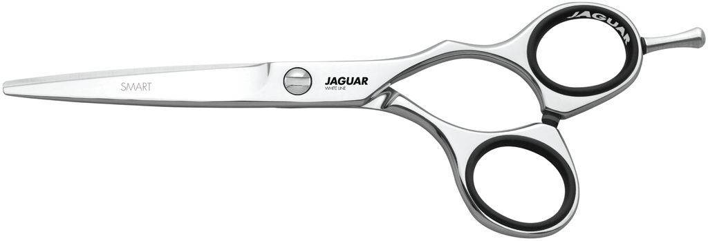 Jaguar Smart - 5,5 Zoll
