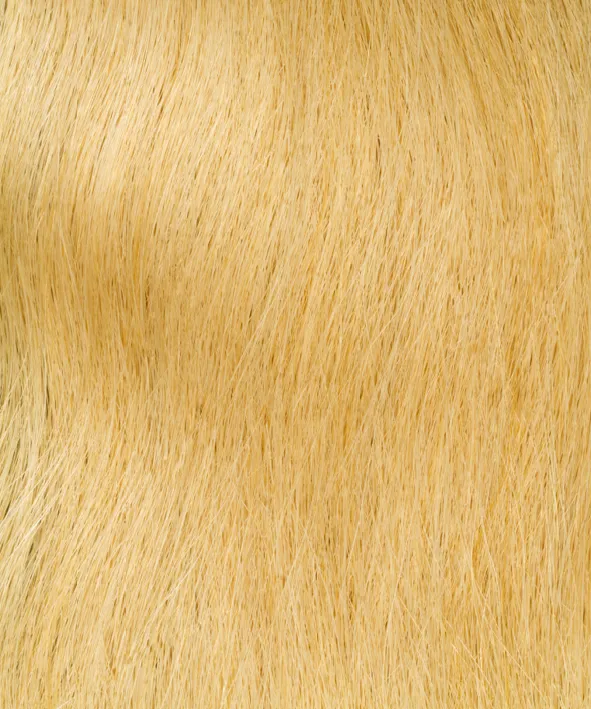 InterHair Classic Extensions 55cm