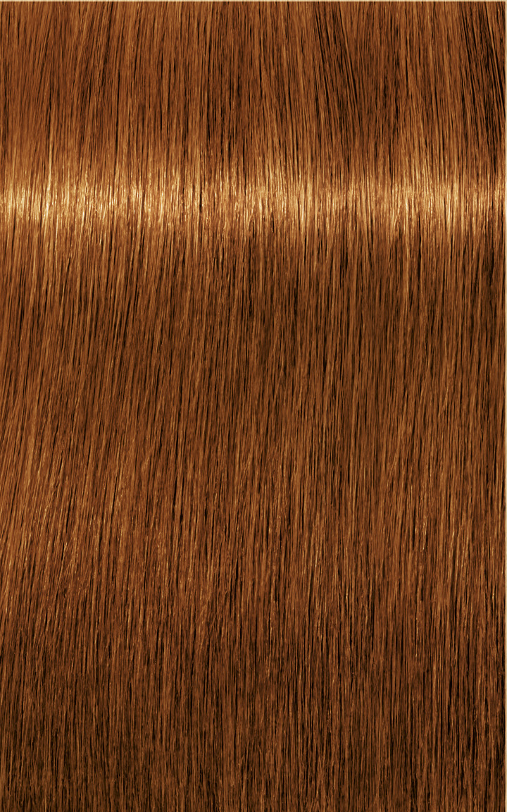 Schwarzkopf Igora Royal Absolutes