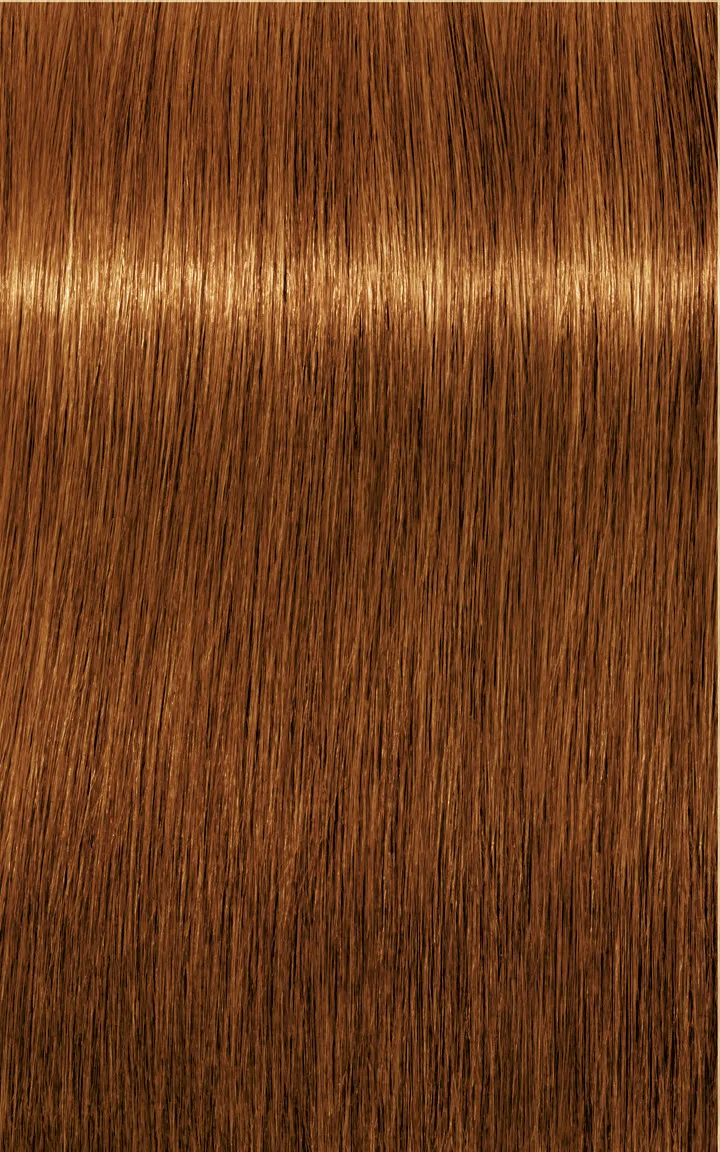Schwarzkopf Igora Royal Absolutes