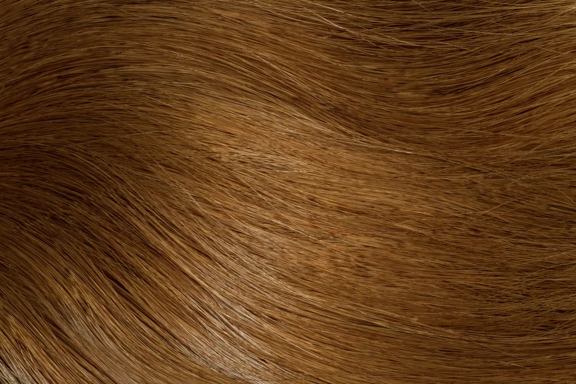 Gold Fever Bonding Extensions 35 cm