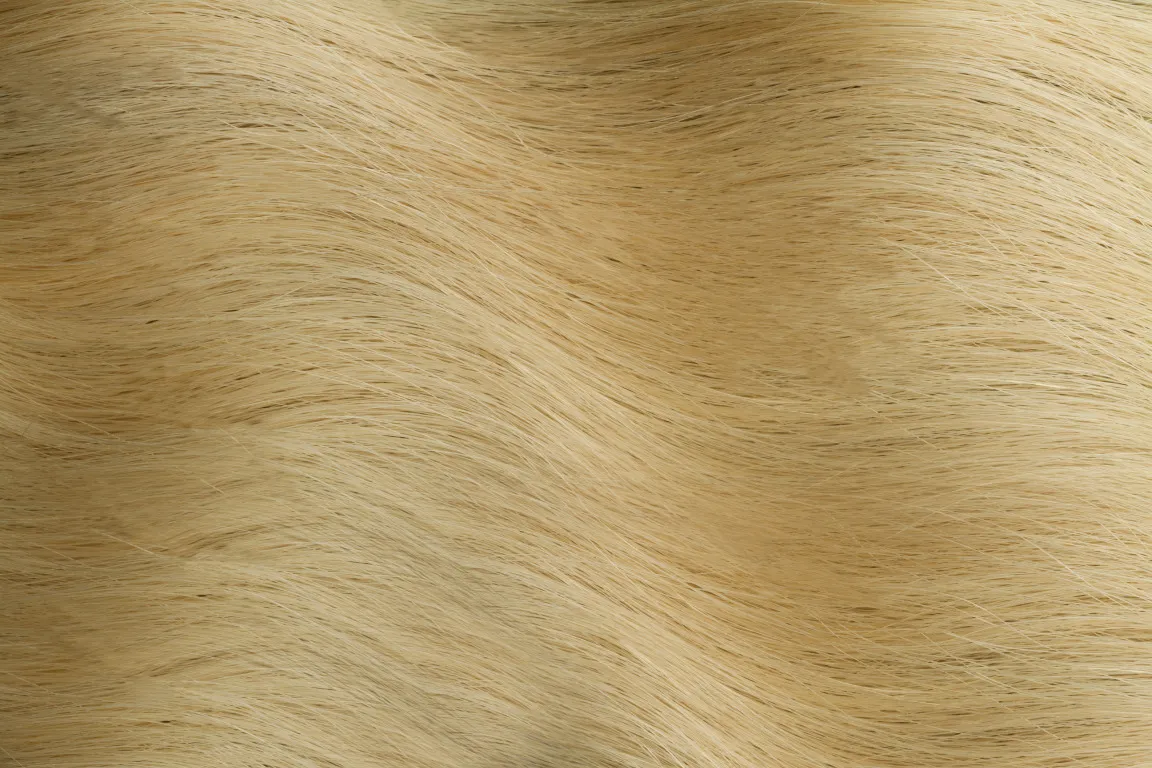 Gold Fever Bonding Extensions 35 cm