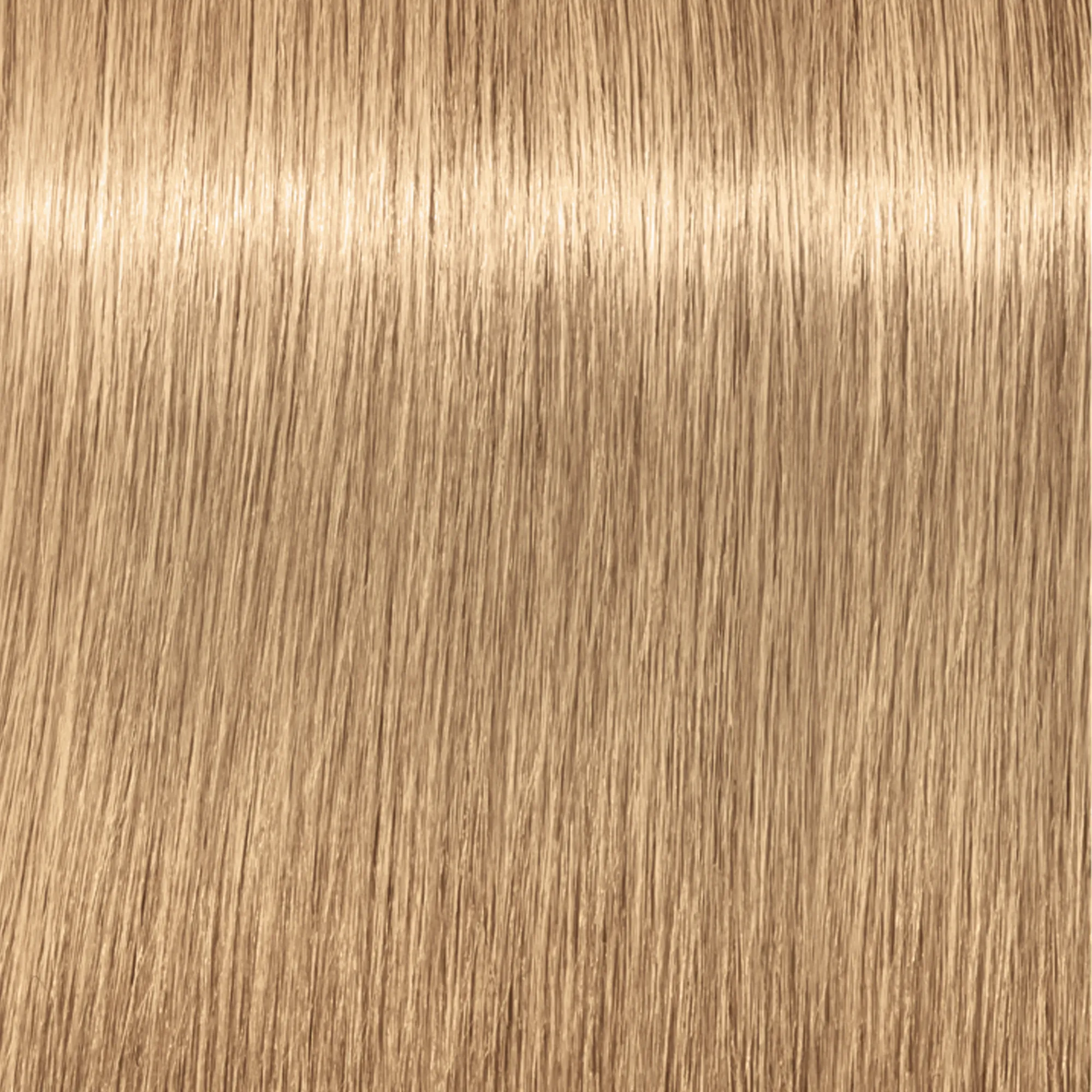Schwarzkopf Igora Royal