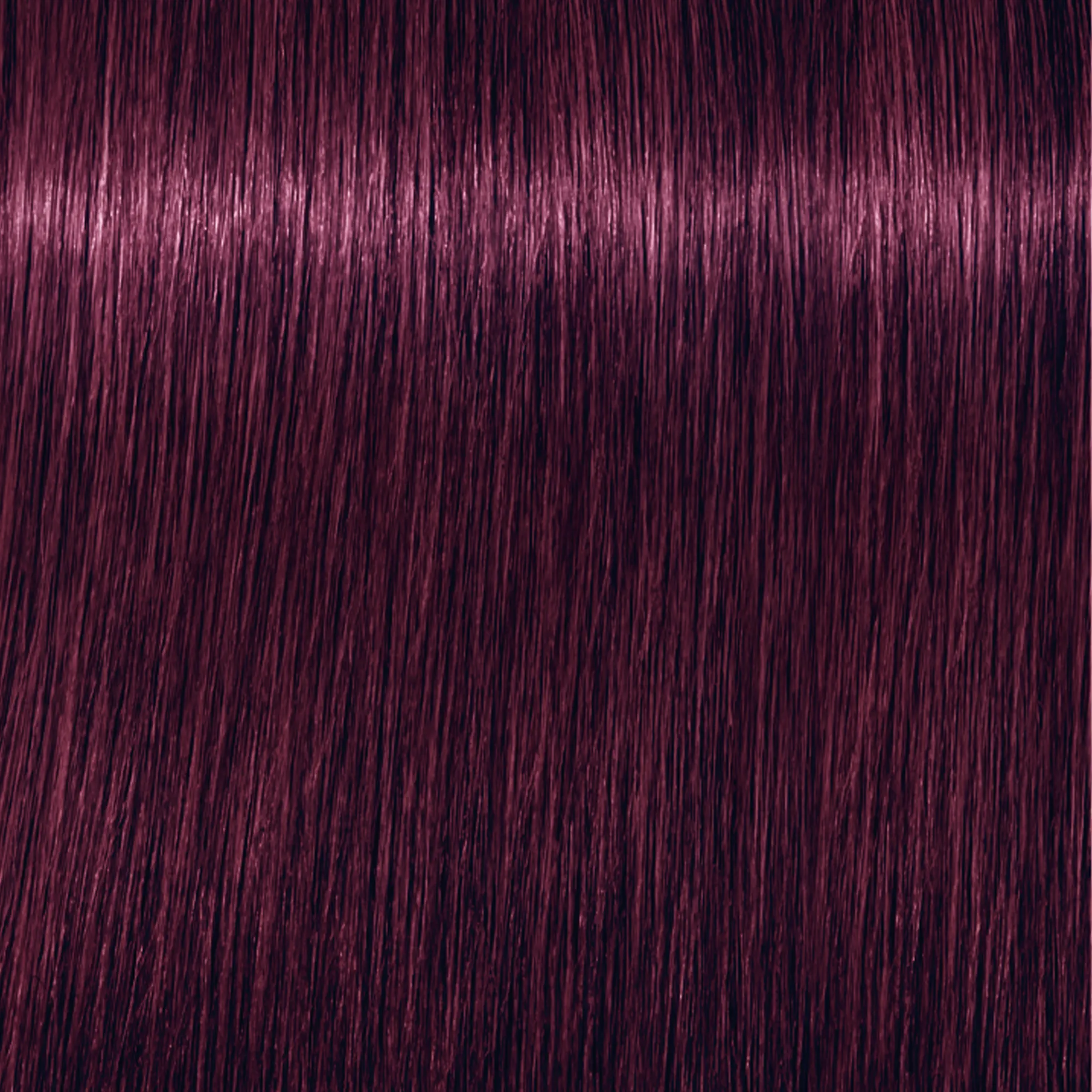 Schwarzkopf Igora Royal