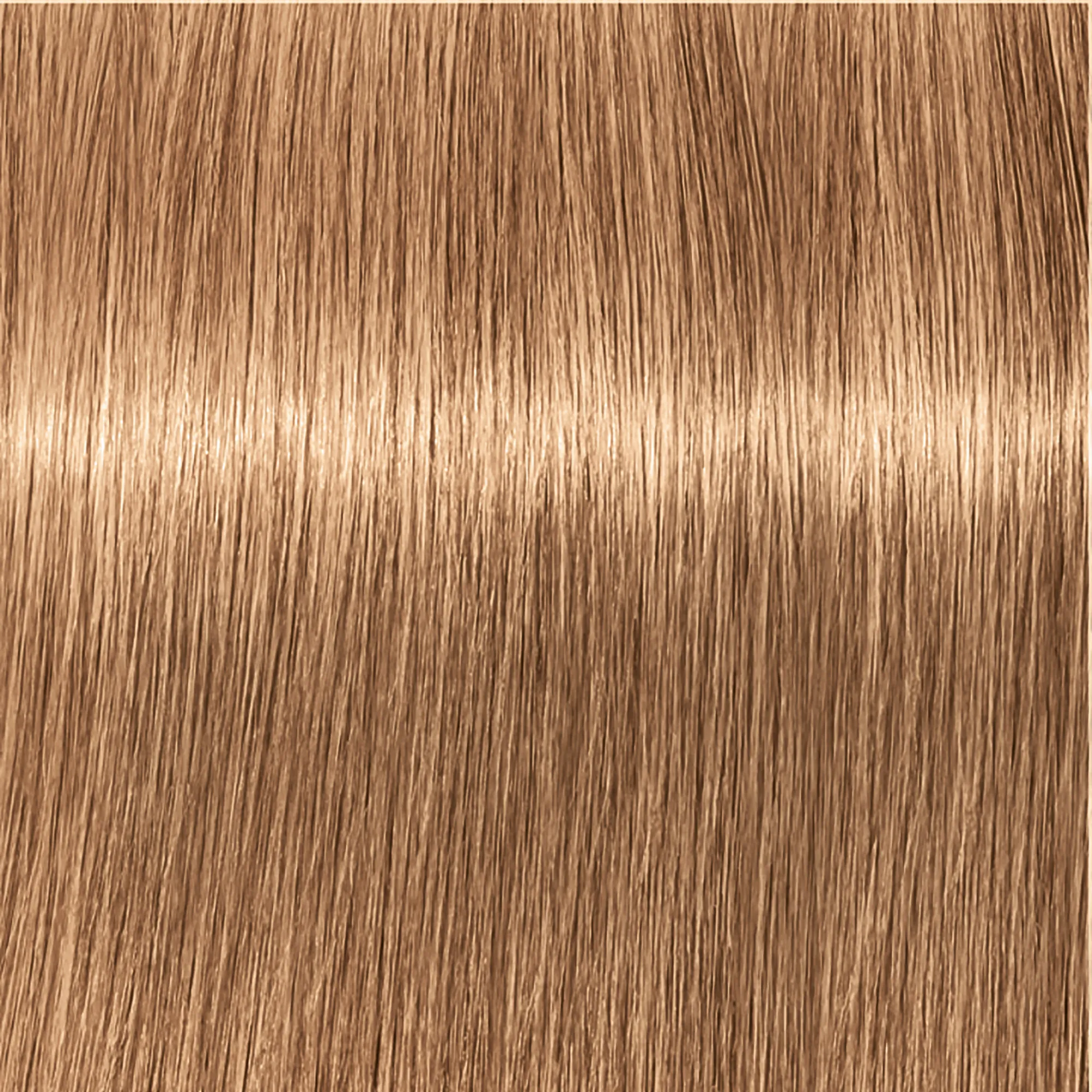 Schwarzkopf Igora Royal