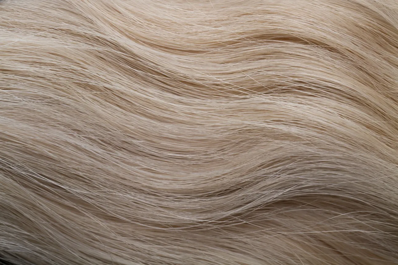 Gold Fever Bonding Extensions 35 cm