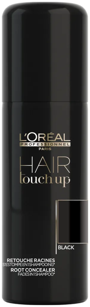 L'Oréal Hair Touch Up