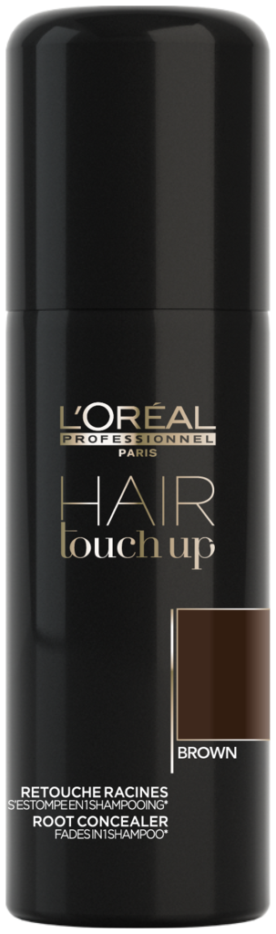 L'Oréal Hair Touch Up