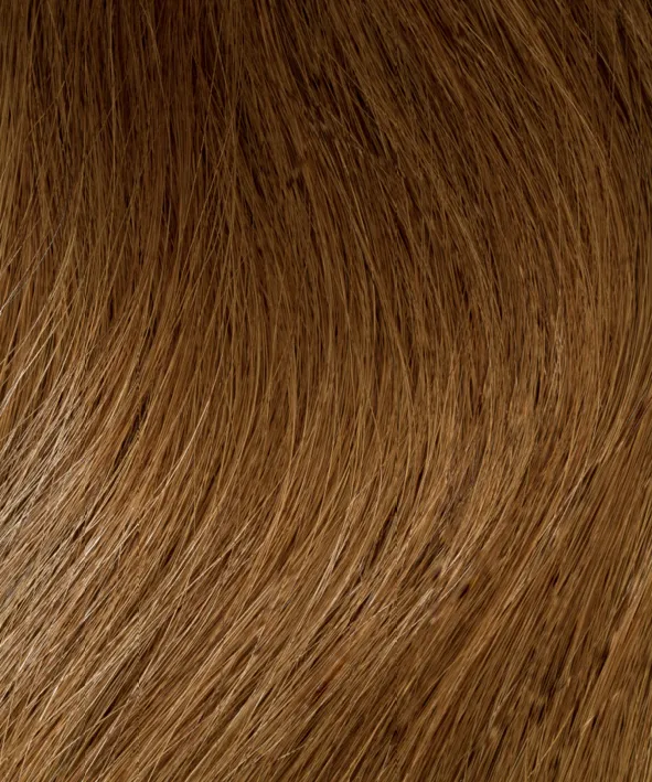 InterHair Classic Extensions 45cm