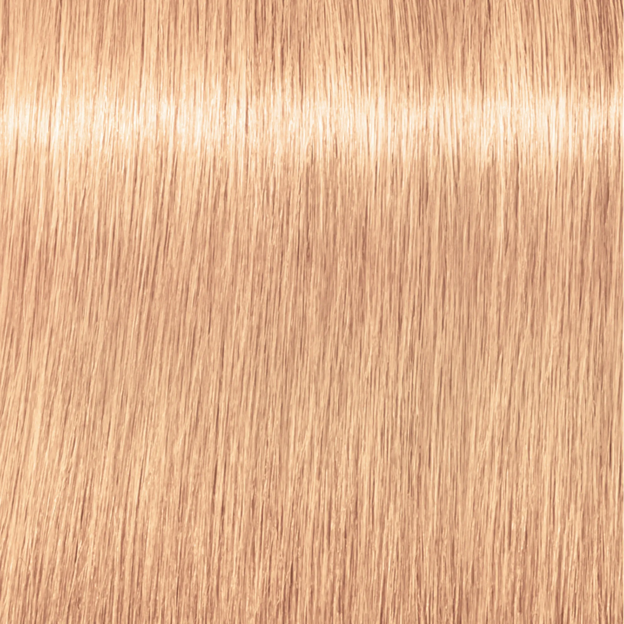Schwarzkopf Igora Royal