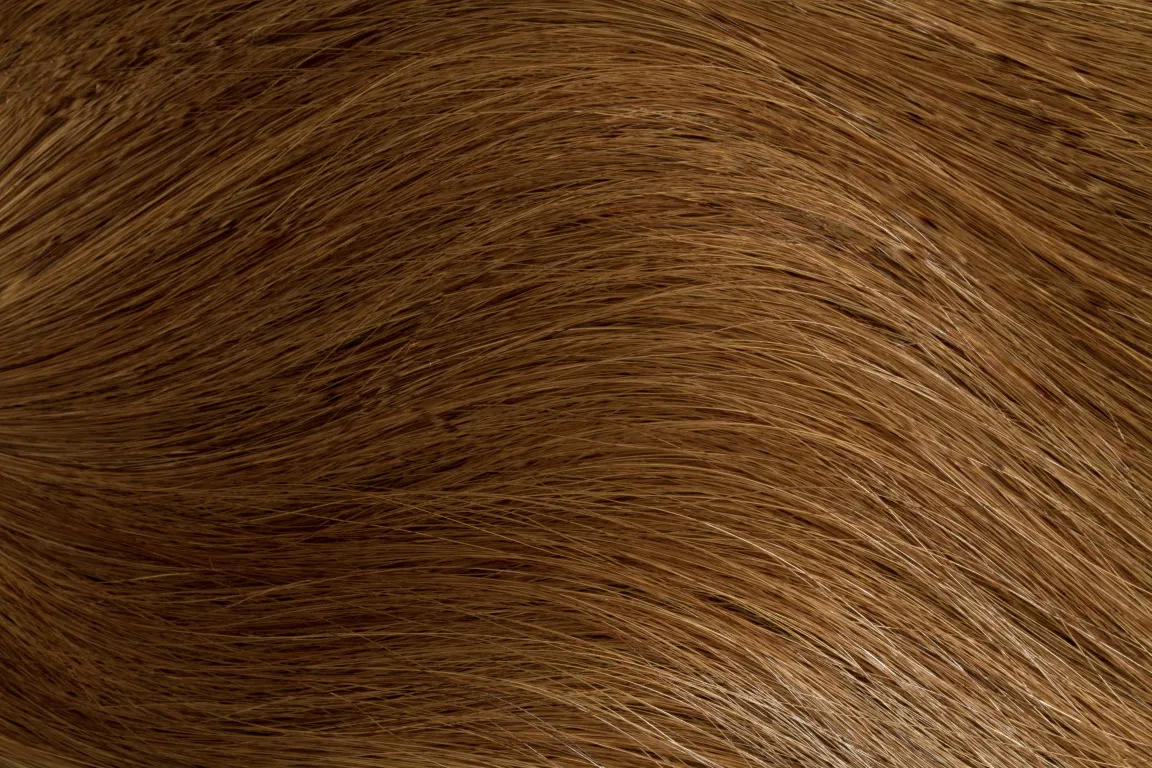 Gold Fever Bonding Extensions 35 cm