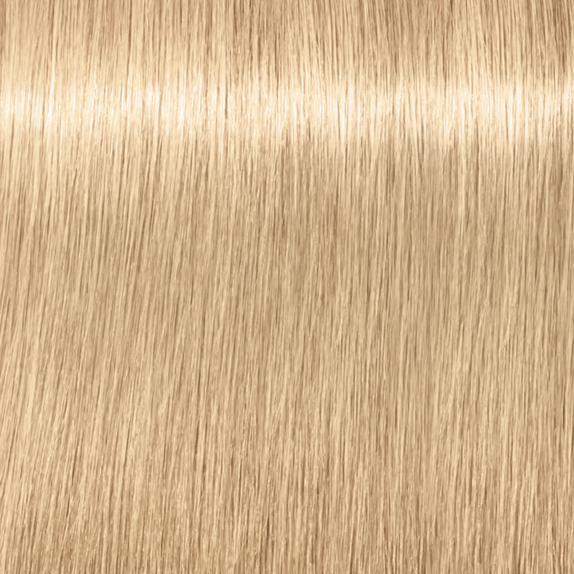 Schwarzkopf Igora Royal Highlifts