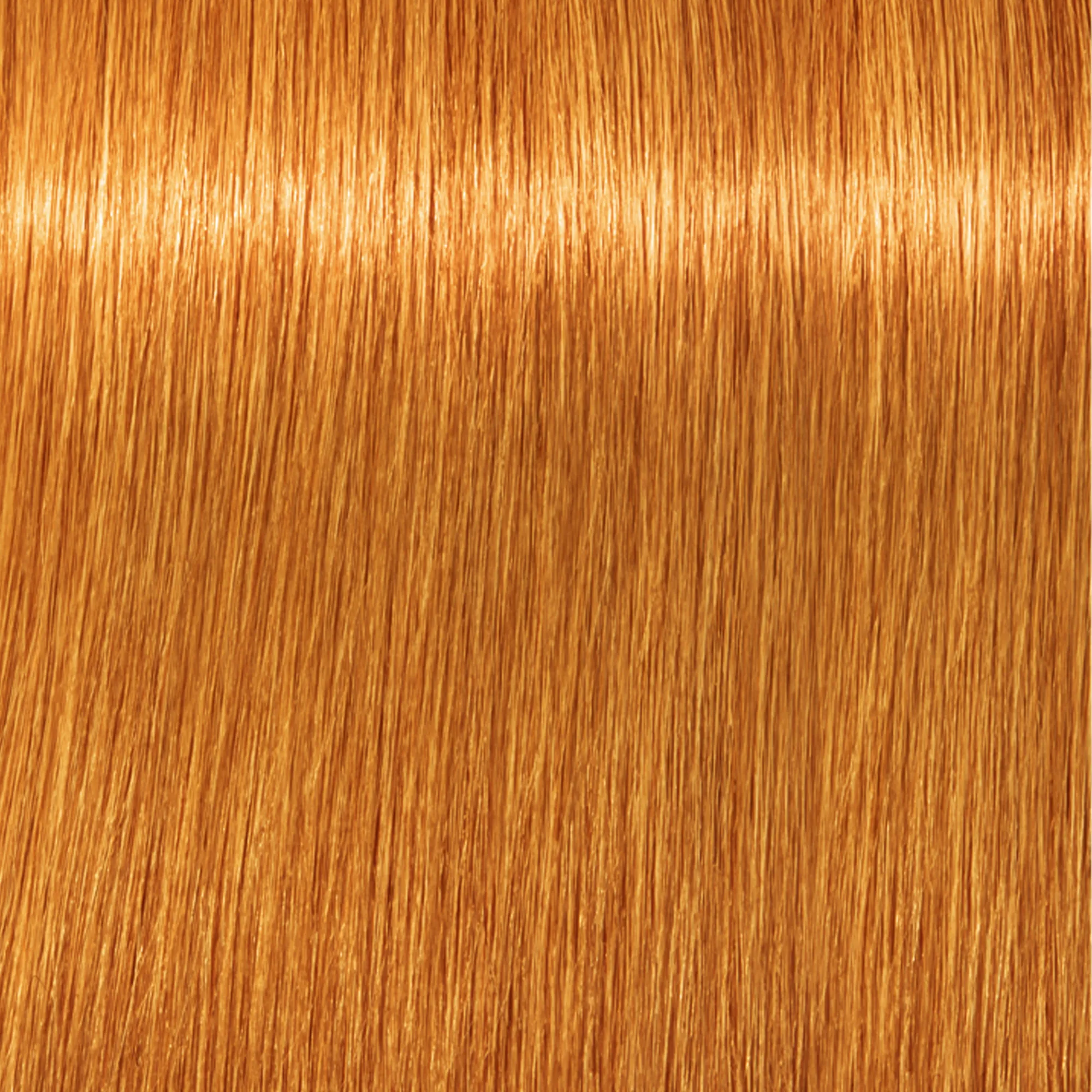 Schwarzkopf Igora Royal