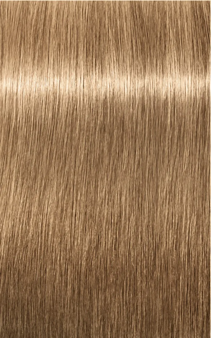 Schwarzkopf Igora Royal Absolutes